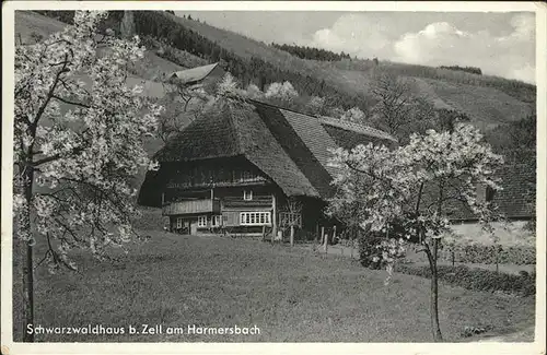 Zell Harmersbach Schwarzwaldhaus / Zell am Harmersbach /Ortenaukreis LKR