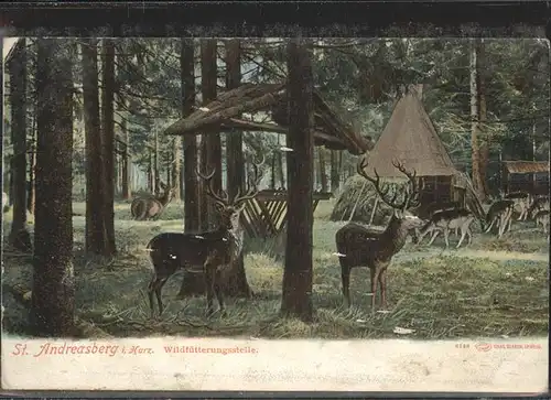 St Andreasberg Harz Wildfuetterungsstelle Hirsche / Sankt Andreasberg /Goslar LKR