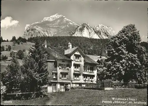 Wildhaus SG pension Roesliwies
Schafberg / Wildhaus Lisighaus /Bz. Toggenburg