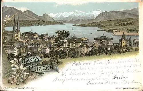 Luzern LU Edelweiss Luzerner See / Luzern /Bz. Luzern City