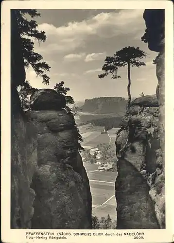 Koenigstein Saechsische Schweiz Pfaffenstein / Koenigstein Saechsische Schweiz /Saechsische Schweiz-Osterzgebirge LKR