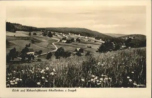 Schellerhau  / Altenberg /Saechsische Schweiz-Osterzgebirge LKR