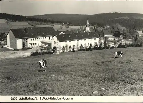 Schellerhau Urlauber Casino Kuehe / Altenberg /Saechsische Schweiz-Osterzgebirge LKR