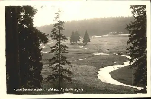 Benneckenstein  / Benneckenstein /Harz LKR