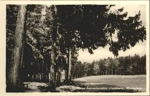 Benneckenstein  / Benneckenstein /Harz LKR