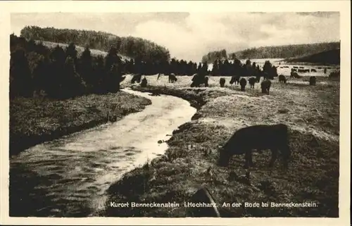 Benneckenstein  / Benneckenstein /Harz LKR