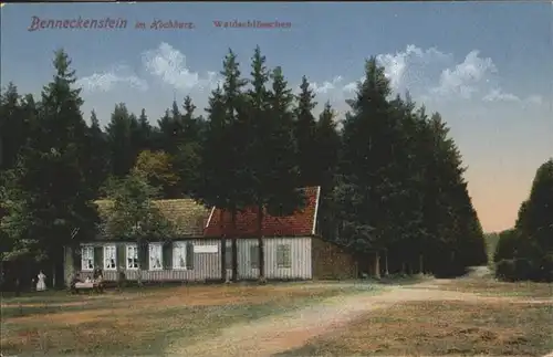 Benneckenstein Waldschloss / Benneckenstein /Harz LKR