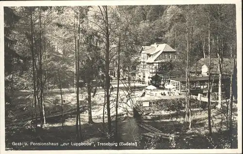 Ilsenburg Harz Pensionshaus Zur Luppbode / Ilsenburg Harz /Harz LKR