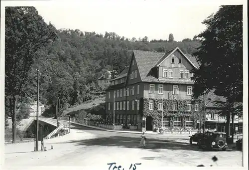 Ilsenburg Harz Hotel Forelle Bruecke  / Ilsenburg Harz /Harz LKR