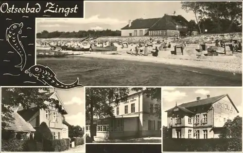 Zingst Ostseebad  / Zingst Darss /Nordvorpommern LKR