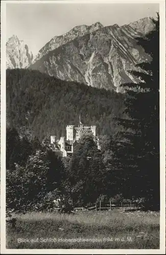 Hohenschwangau Schloss / Schwangau /Ostallgaeu LKR