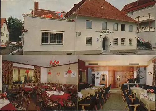 Oberguenzburg Gasthof Cafe Pension Gruener Baum / Oberguenzburg /Ostallgaeu LKR