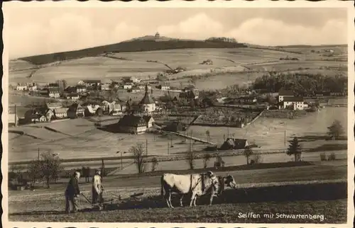 Seiffen Erzgebirge Schwartenberg Kuehe  / Kurort Seiffen Erzgebirge /Erzgebirgskreis LKR