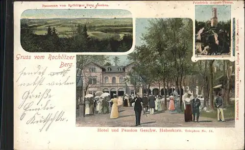 Rochlitz Sachsen Rochlitz Hotel Pension Haberkorn Friedrich August Thurm x / Rochlitz /Mittelsachsen LKR