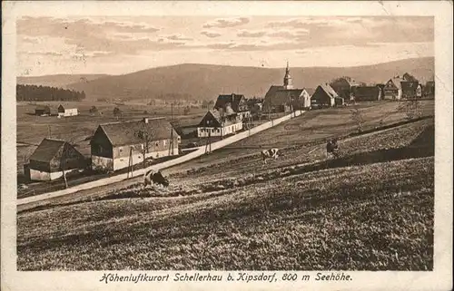 Schellerhau Kipsdorf x