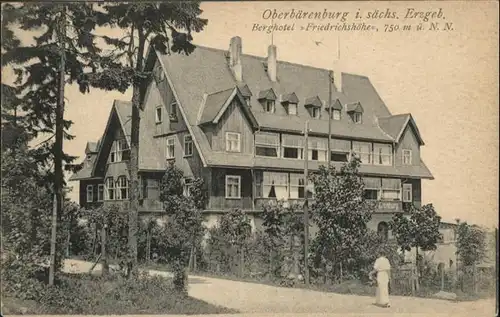 Oberbaerenburg Oberbaerenburg Erzgebirge Hotel Friedrichshoehe * /  /