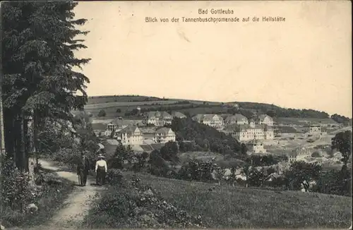 Bad Gottleuba-Berggiesshuebel Heilstaette x