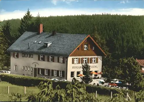 Fleckl Berg Gasthof 