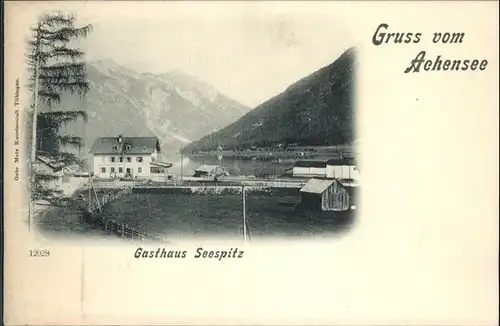 Achensee Gasthaus Seespitz