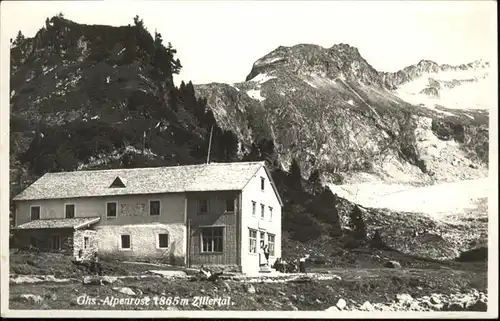 Mayrhofen Alpenrose