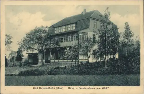 Bad Gandersheim Hotel Pensionshaus Wiek x