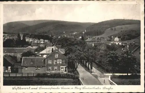 Seesen Harz Seesen Lautenthaler Strasse * / Seesen /Goslar LKR