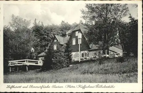 Seesen Harz Seesen Kaffeehaus Wilhelmshoehe * / Seesen /Goslar LKR