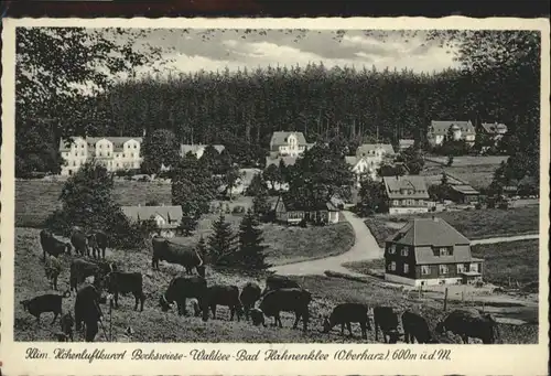 Hahnenklee-Bockswiese  *