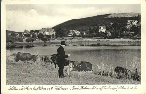 Hahnenklee-Bockswiese Hirte x