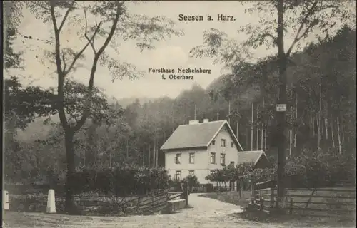 Seesen Harz Seesen Forsthaus Neckelnberg x / Seesen /Goslar LKR