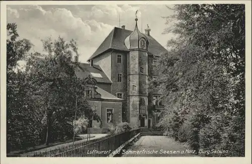 Seesen Harz Seesen Burg Sehusa * / Seesen /Goslar LKR