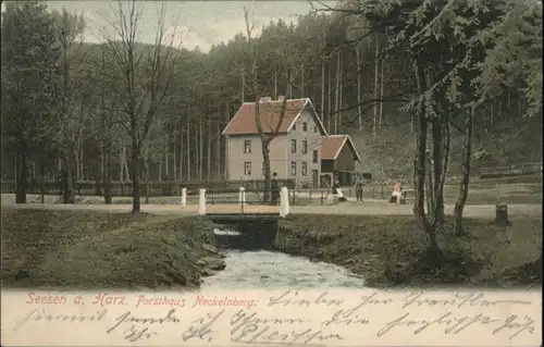 Seesen Harz Seesen Forsthaus Neckelnberg x / Seesen /Goslar LKR