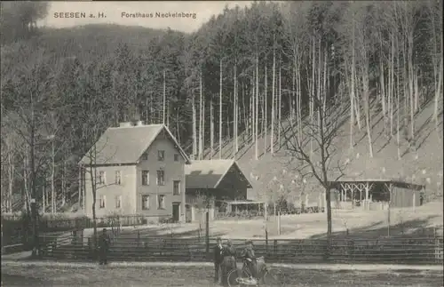 Seesen Harz Seesen Forsthaus Neckelnberg * / Seesen /Goslar LKR
