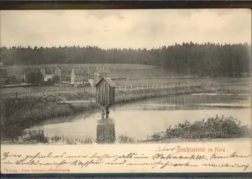 Hahnenklee-Bockswiese  *