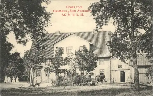 Hahnenklee-Bockswiese [Verlag C. Pannhorst] Gasthaus zum Auerhahn *