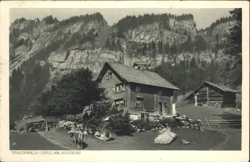 Braunwald Rietberg Kuh x