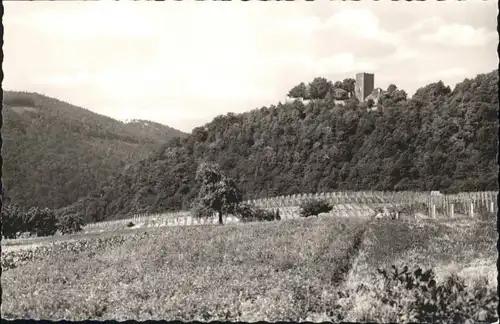 Landau Pfalz Burg Landeck *