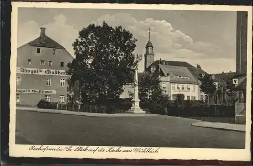 Bischofswerda Kirche Muehlteich Vogel Gasthaus  x