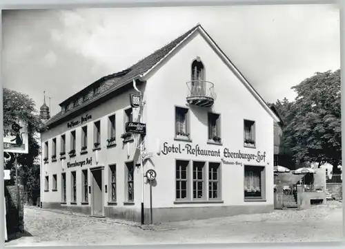 Bad Muenster Stein Ebernburg Bad Muenster Hotel Restaurant Ebernburger Hof * / Bad Muenster am Stein-Ebernburg /Bad Kreuznach LKR