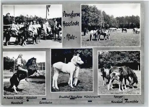 Hassloch Pfalz Ponyfarm *