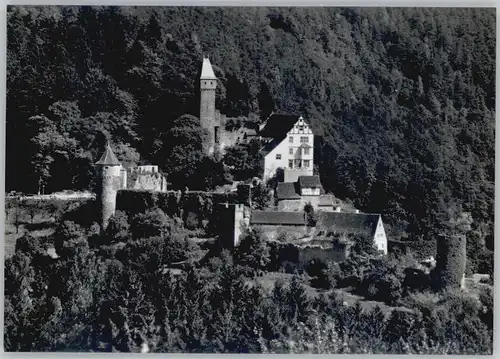 Hirschhorn Neckar Hirschhorn Burg Hirschhorn * / Hirschhorn (Neckar) /Bergstrasse LKR