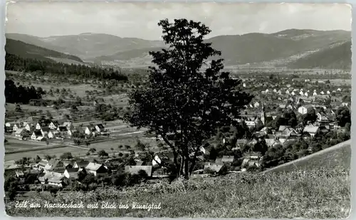 Zell Harmersbach  *