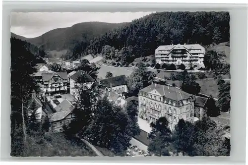 Bad Rippoldsau Hotel Pension zum Kranz *