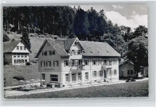Bad Rippoldsau Hotel Rostengarten *