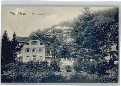Bad Rippoldsau Schwarzwald Bad Rippoldsau Villa Sommerberg x / Bad Rippoldsau-Schapbach /Freudenstadt LKR