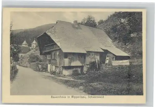 Bad Rippoldsau Bauernhaus *