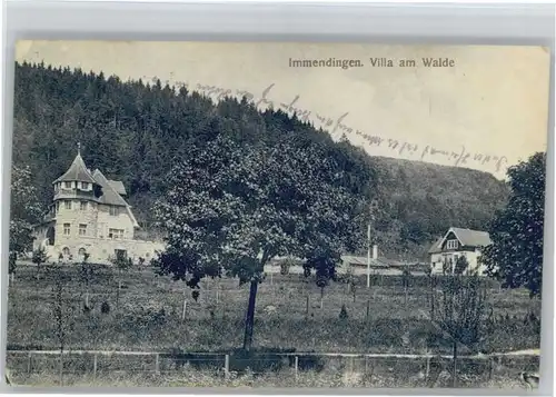 Immendingen Villa am Walde x