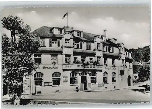 Ludwigshafen Bodensee Hotel Pension zum goldenen Loewen *