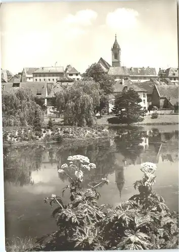 Pfullendorf Stadtsee *