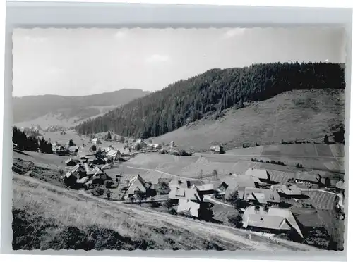 Menzenschwand Hinterdorf *